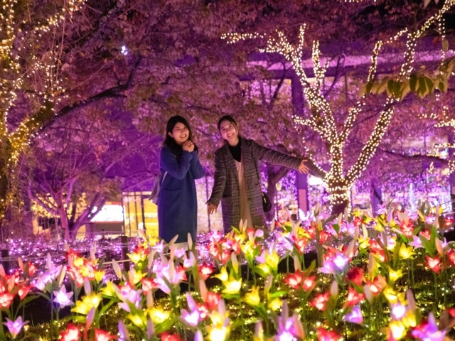 関東 冬を遊びつくそう 12月 1月 2月 関東冬のおすすめスポット 観光地 年 21年版 まっぷるトラベルガイド