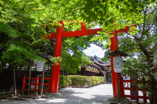 京都 上賀茂神社と下鴨神社の関係は 1日で両方回るコースをご紹介 9枚目の画像