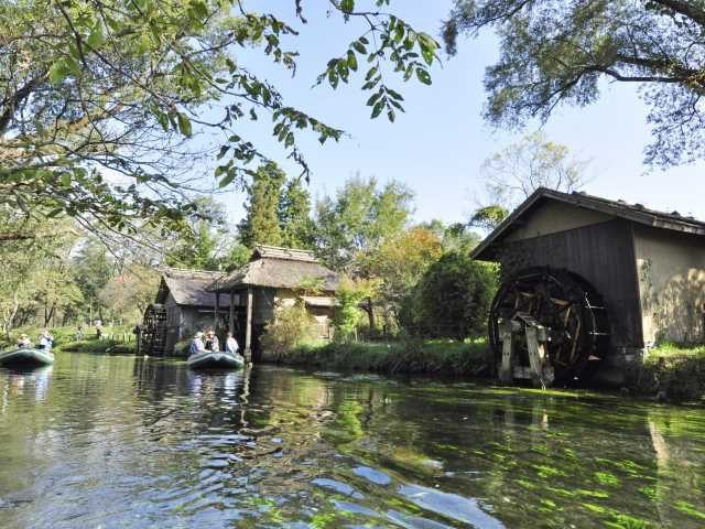 大王わさび農場