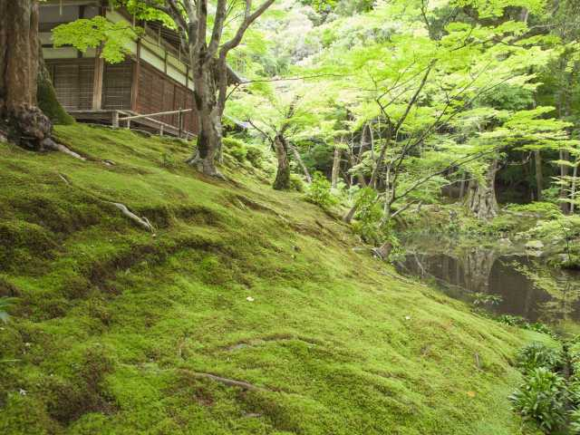 週末は気軽にお出かけ 関西から日帰りできる穴場観光スポット30選 まっぷるトラベルガイド