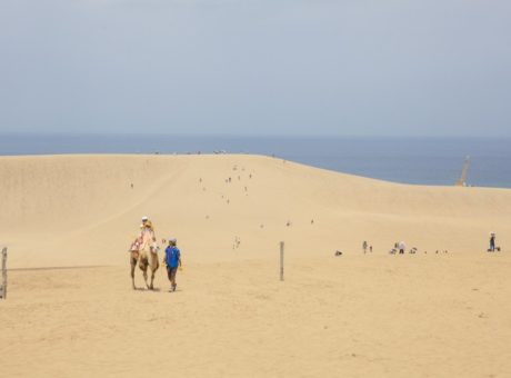 ガイドブック編集部が制作 山陰のおすすめ観光旅行ガイド記事 まっぷるトラベルガイド