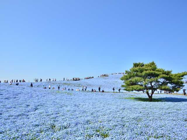 ドライブで日帰り旅行を楽しもう 関東 東海 関西のおすすめドライブコース 8枚目の画像