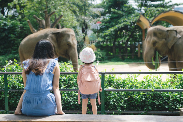 夏休みの家族旅行はどこに行く 日帰り 2泊程度で行けるおすすめ旅行プラン12 まっぷるトラベルガイド