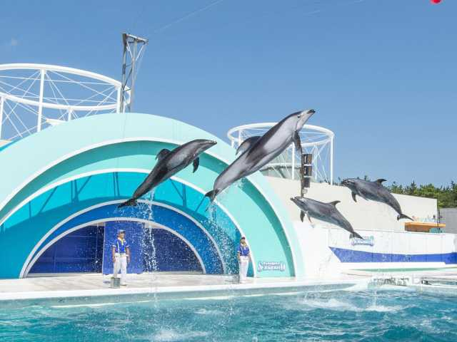 関東近郊 週末どこ行く サクッと近場の日帰り関東お出かけスポット33 まっぷるトラベルガイド