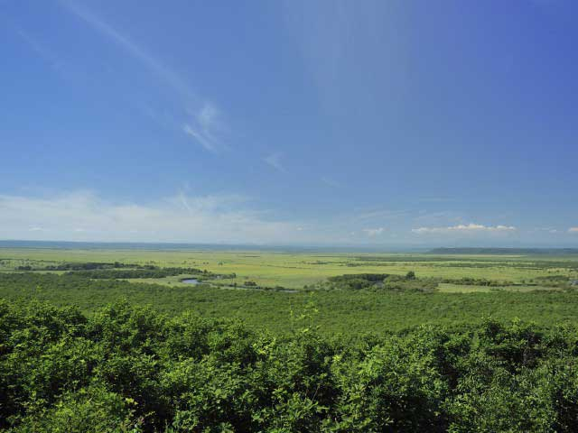 釧路湿原