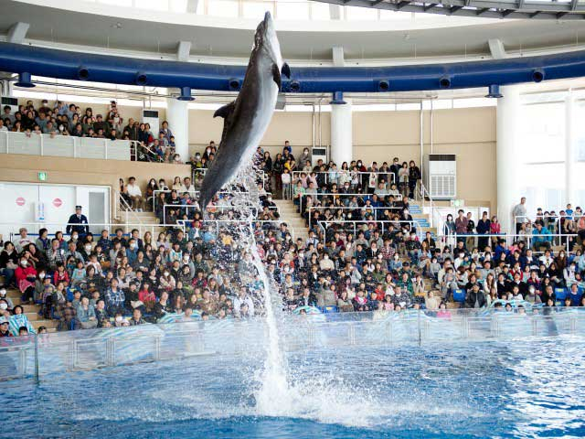 関東近郊 週末どこ行く サクッと近場の日帰り関東お出かけスポット33 観光旅行メディア まっぷるトラベルガイド