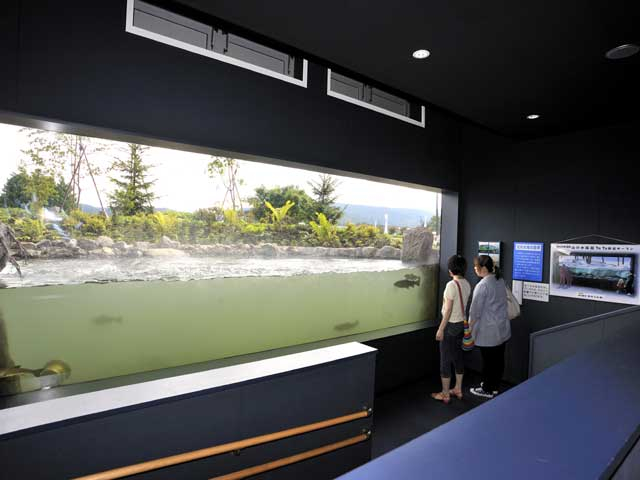 北の大地の水族館