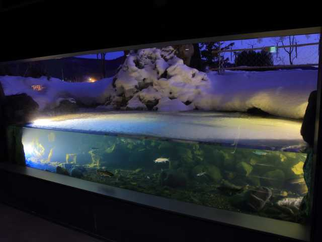 北の大地の水族館
