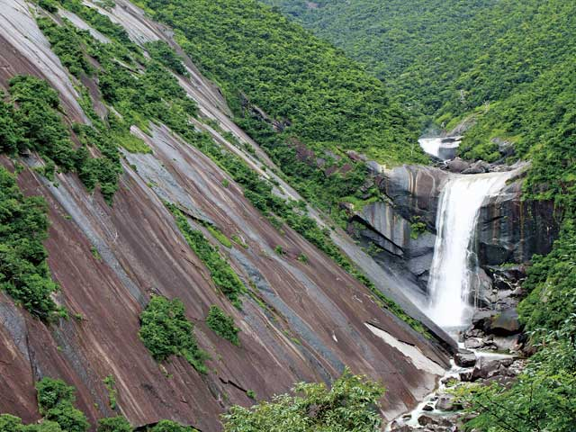 【屋久島の観光スポット】千尋の滝