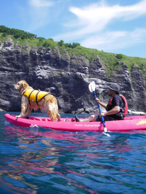 北海道 小樽 プライベートツアーで3密回避 シーカヤックで行く 青の洞窟 徹底ガイド 観光旅行メディア まっぷるトラベルガイド