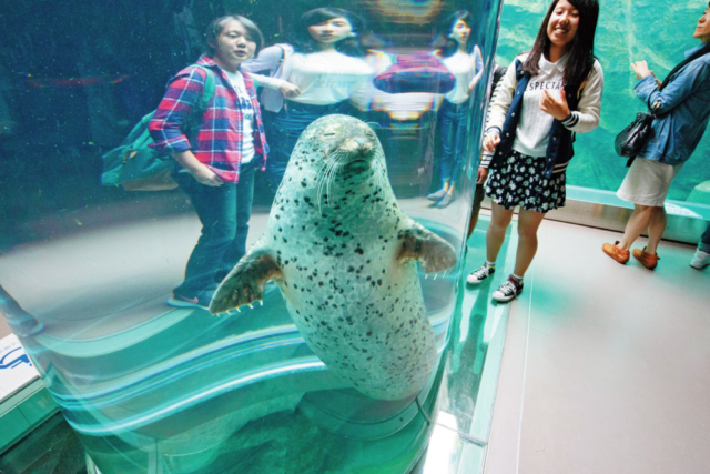 旭山動物園の見どころはココ 魅力と楽しみ方を徹底紹介 まっぷるトラベルガイド