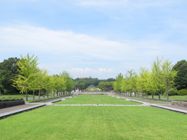 運動不足はこれで解消 秋の国営昭和記念公園を満喫 まっぷるトラベルガイド