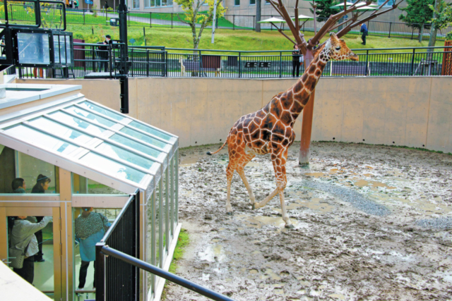 旭山動物園の見どころはココ 魅力と楽しみ方を徹底紹介 観光旅行メディア まっぷるトラベルガイド