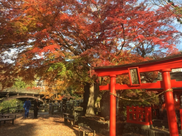 首都圏から日帰り 11月見ごろ 山梨 甲斐の猿橋 で秋の紅葉を満喫 観光旅行メディア まっぷるトラベルガイド