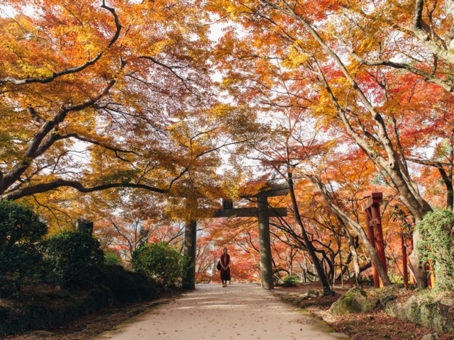 21年10 11月が見頃の紅葉名所 おすすめ35選 鬼滅の刃の聖地も まっぷるトラベルガイド