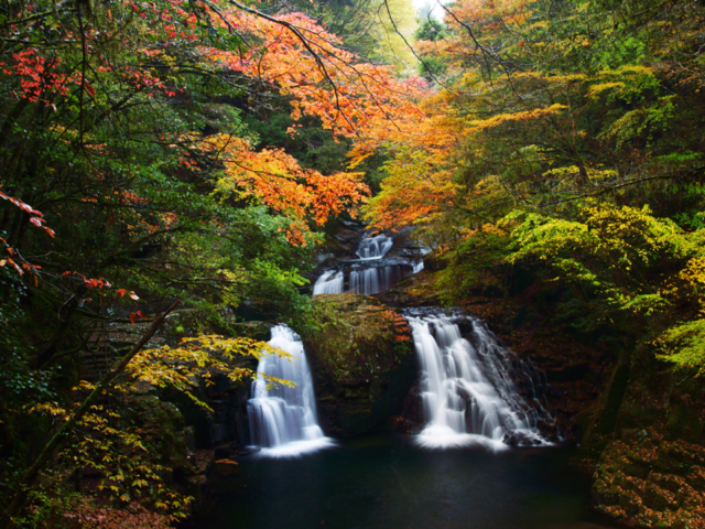 三重 空気がおいしい 赤目四十八滝 紅葉ハイキング まっぷるトラベルガイド