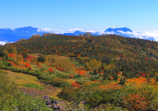 9月に始まる北アルプスの紅葉 絶景の 白馬乗鞍岳 ハイキング まっぷるトラベルガイド