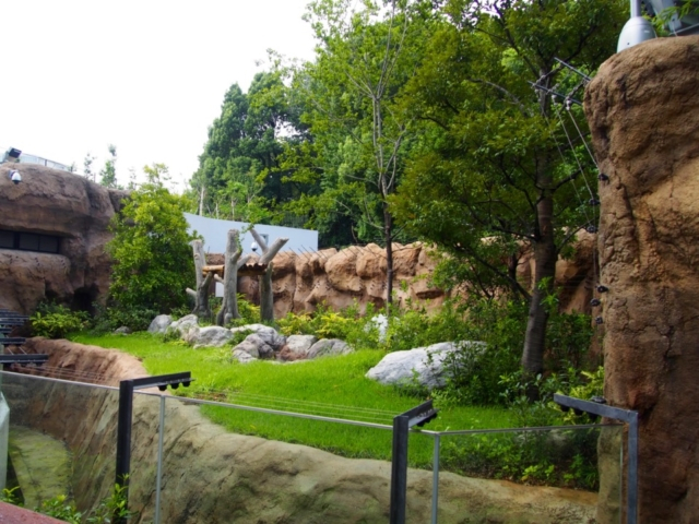 上野動物園 パンダのもりニューオープン シャンシャンやリーリー シンシンに会いに行こう まっぷるトラベルガイド