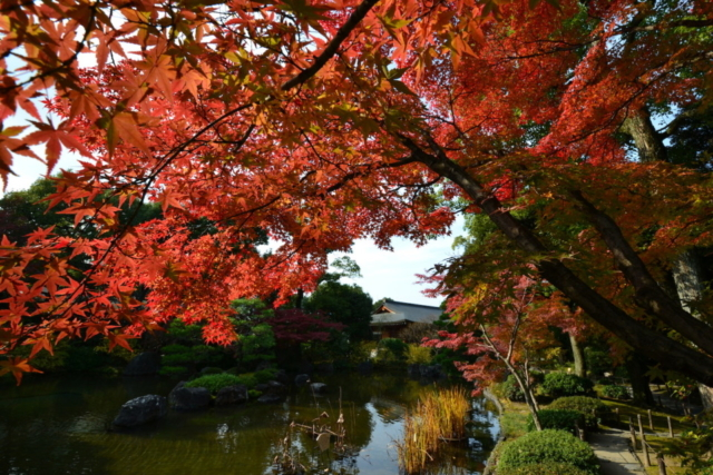 22年の秋は京都へ 京都府民が教える穴場紅葉スポット6選 まっぷるトラベルガイド