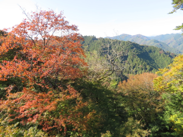 都心から１時間 登山者数世界一を誇る 高尾山 の紅葉へ まっぷるトラベルガイド