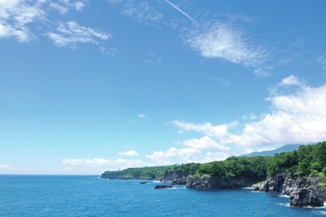東京近郊のおすすめドライブコース4選 美しい絶景や海鮮を堪能しよう まっぷるトラベルガイド