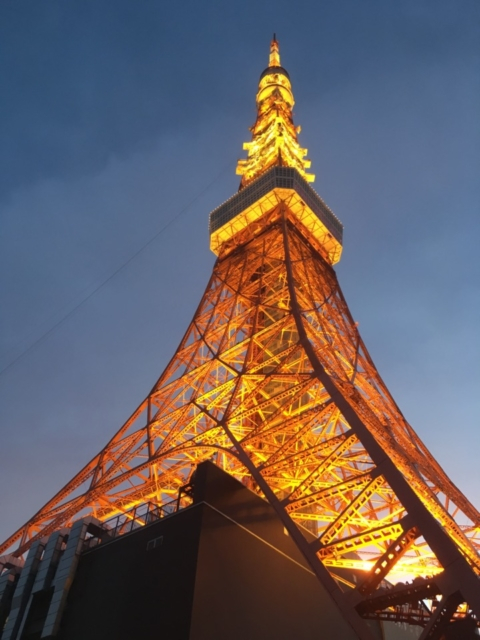 タワー 周辺 観光 東京