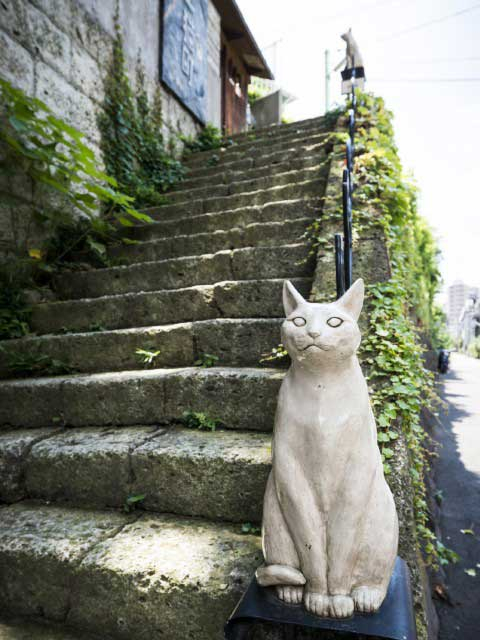 ねこ好き必見 全国のねこスポット 42選 まっぷるトラベルガイド