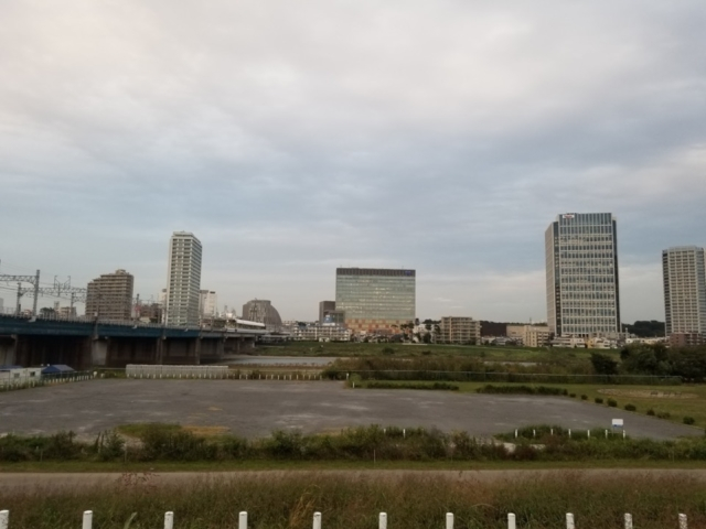 東京 二子玉川 コロナ疲れを癒す 秋の多摩川でナイトサイクリング まっぷるトラベルガイド