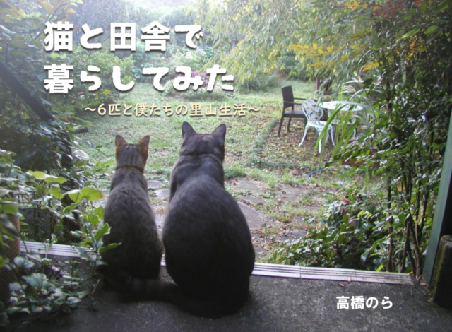 【連載エッセイ・第５回】猫と田舎で暮らしてみた～6匹と僕たちの里山生活～