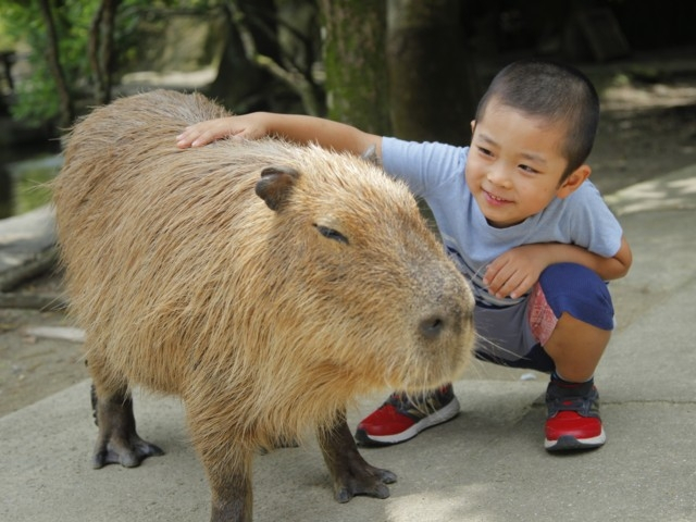 全国のおすすめ動物園 21版 営業時間やアクセス ファミリー向け子連れ情報など情報満載 まっぷるトラベルガイド