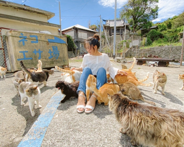 愛媛 青島 猫好き必見 瀬戸内海に浮かぶ猫島 まっぷるトラベルガイド