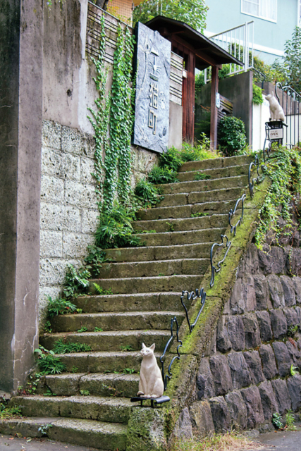 ねこがいる町４選 全国にあるねこまちへ出発しよう まっぷるトラベルガイド