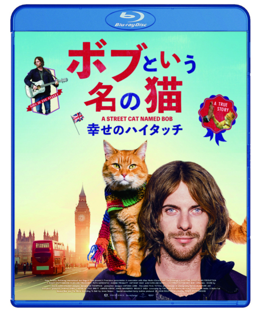 猫と過ごすおうち時間 おすすめの猫映画9選 まっぷるトラベルガイド