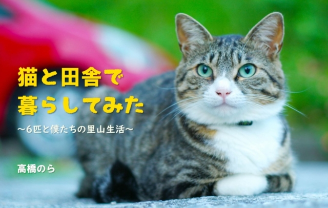 連載エッセイ 第17回 猫と田舎で暮らしてみた 6匹と僕たちの里山生活 まっぷるトラベルガイド