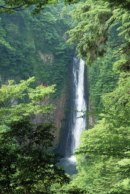 九重“夢”大吊橋とは?