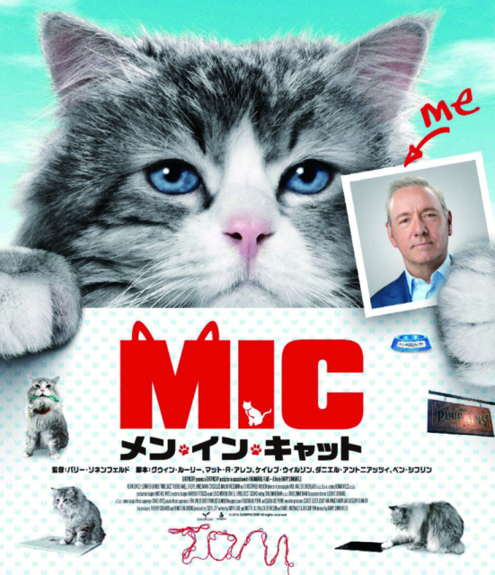 猫と過ごすおうち時間 おすすめの猫映画9選 5枚目の画像