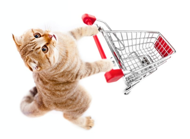 猫とおでかけする時の便利グッズ 旅行 引越 通院のほか 災害避難の備えにも まっぷるトラベルガイド
