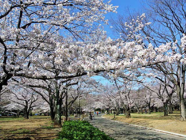 東京のデートスポットおすすめ50選 定番から穴場までをご紹介 まっぷるトラベルガイド