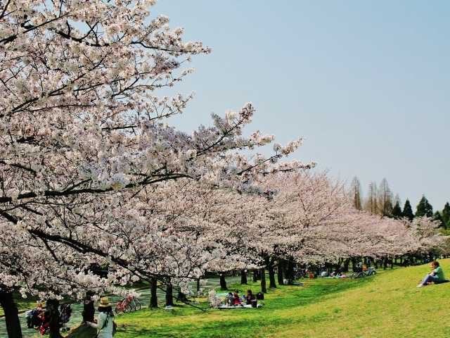 名古屋のデートスポットおすすめ50選 定番から穴場までをご紹介 まっぷるトラベルガイド