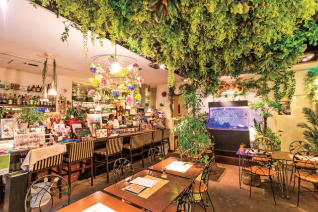 表参道のおしゃれカフェ25選 人気の喫茶店も まっぷるトラベルガイド