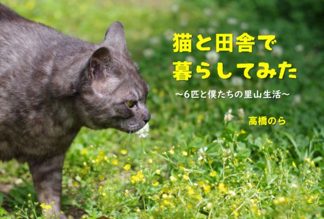 連載エッセイ 第29回 猫と田舎で暮らしてみた 6匹と僕たちの里山生活 まっぷるトラベルガイド