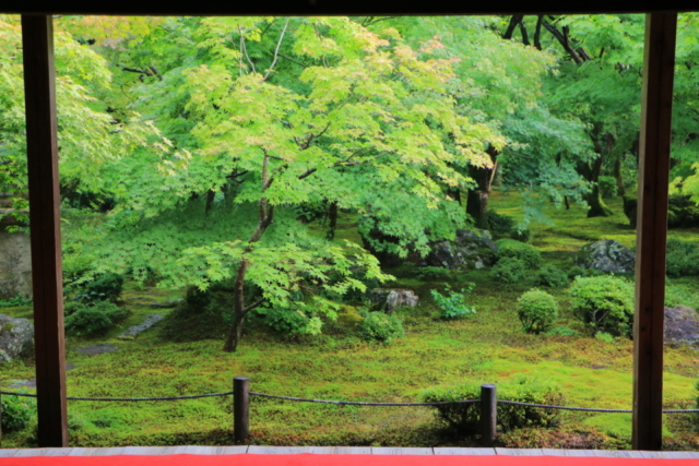 雨の京都 雨の日こそ行きたいおすすめスポット10選 まっぷるトラベルガイド