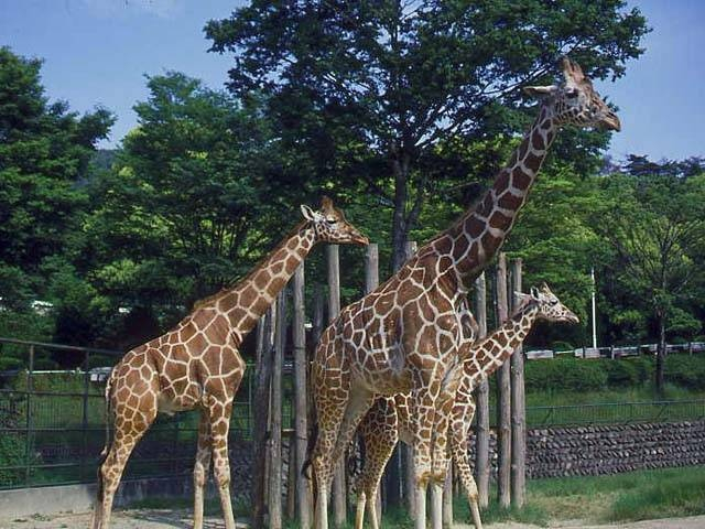 広島 穴場のおでかけスポット30選 コロナ禍でも安心して楽しめる まっぷるトラベルガイド