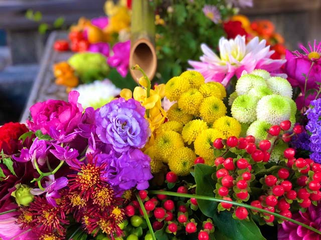 京都 花手水 に浮かぶカラフルな季節の花6選 社寺の新たな見どころ発見 まっぷるトラベルガイド