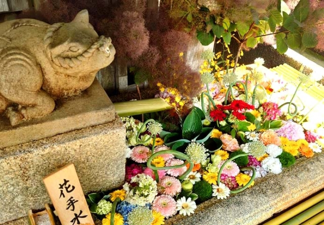 京都 花手水 に浮かぶカラフルな季節の花6選 社寺の新たな見どころ発見 まっぷるトラベルガイド