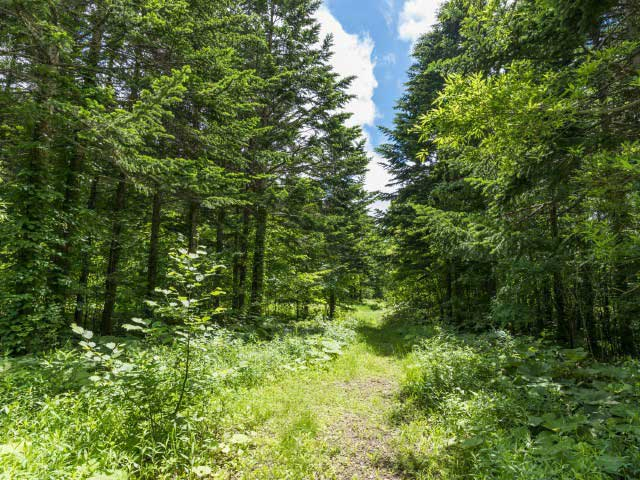 北海道 穴場のおでかけスポット30選 コロナ禍でも安心して楽しめる まっぷるトラベルガイド