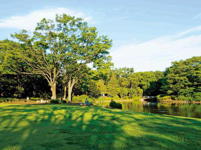 東京 都内の大きい公園おすすめ40選 デートやピクニックにも まっぷるトラベルガイド