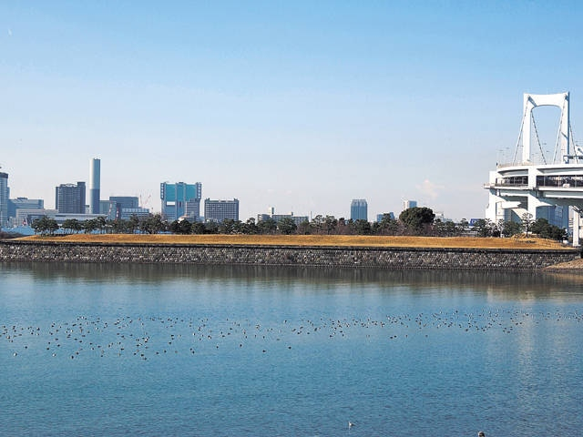 東京 夏におすすめの涼しいスポット35選 夏こそおでかけしよう まっぷるトラベルガイド