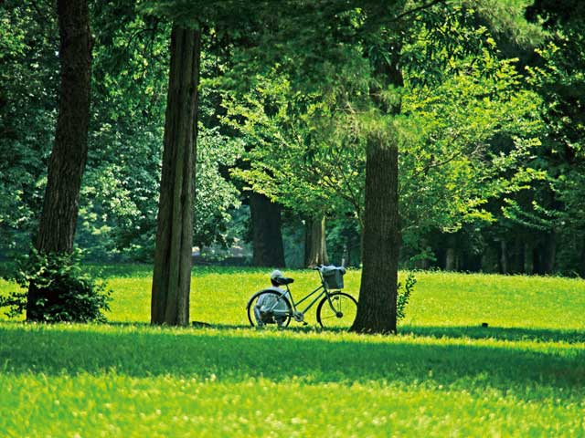 東京都内の大きい公園おすすめ40選 広い公園に遊びに行こう まっぷるトラベルガイド
