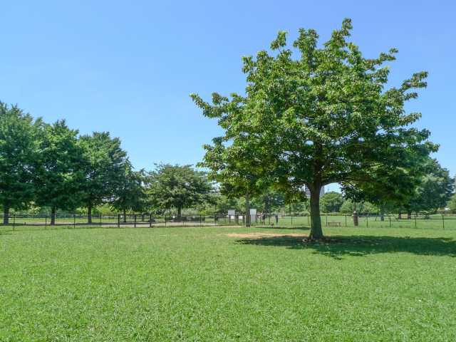 東京都内の大きい公園おすすめ40選 広い公園に遊びに行こう まっぷるトラベルガイド